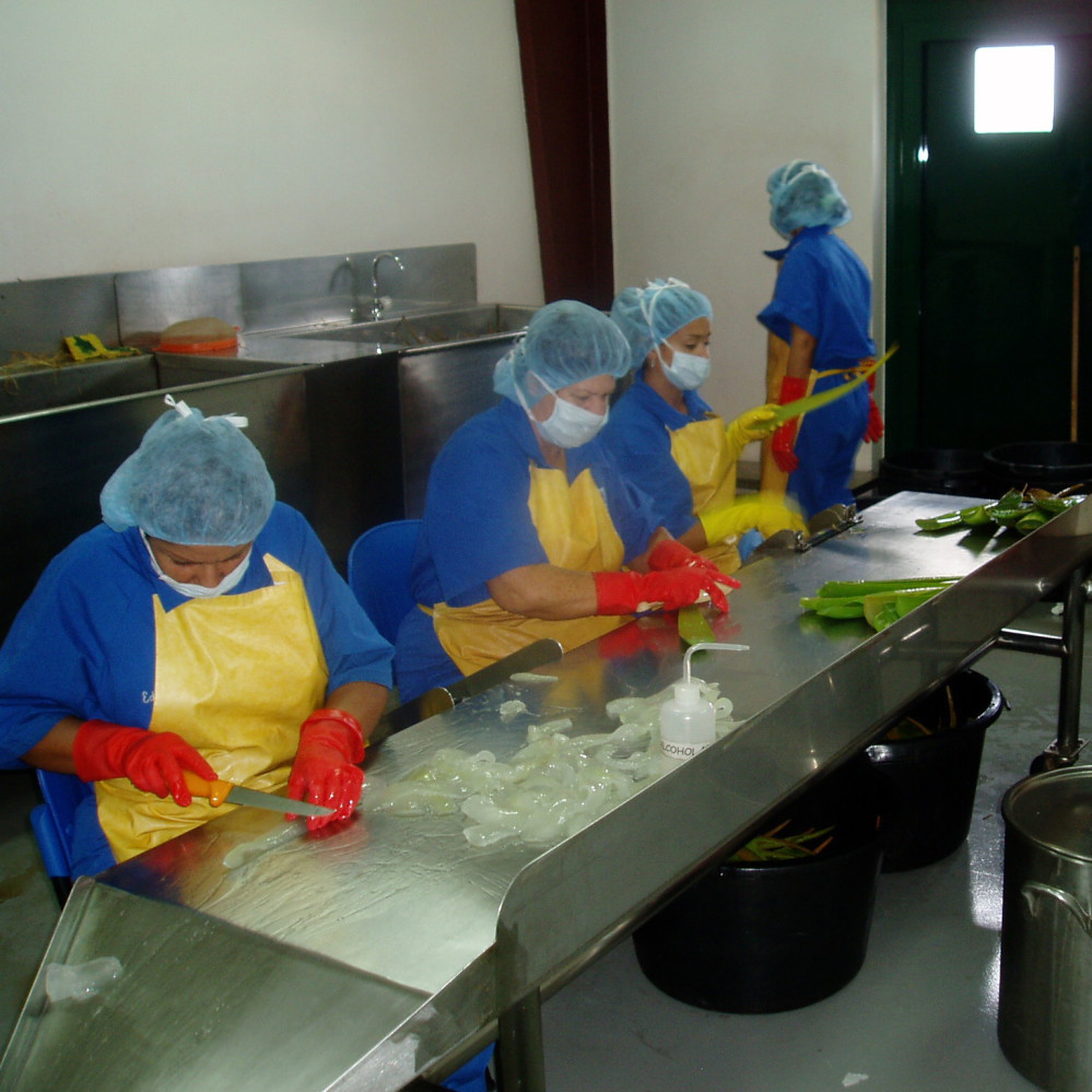 alhydran littekencreme productieprocess