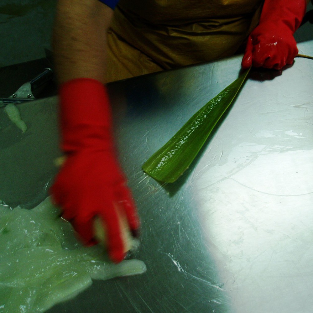 productie alhydran aloe vera gel