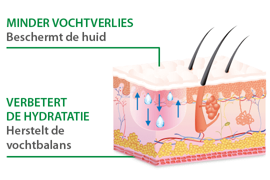 Vochtbalans huid - werking alhydran