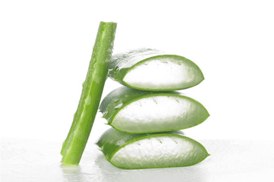 Vers gesneden Aloë Vera gel voor huidherstel na brandwonden